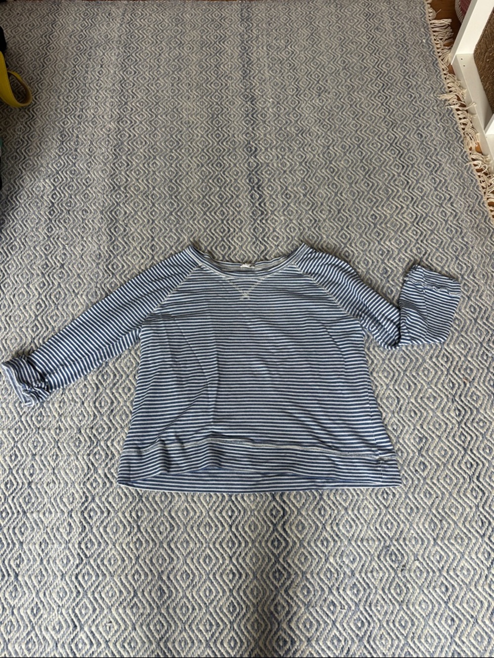 Soft Joie Blue and White Striped Sweatshirt